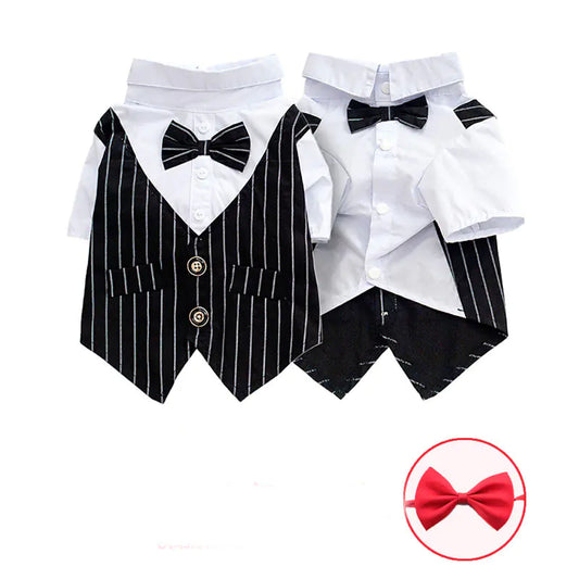 Black dog wearing a formal tuxedo, perfect for parties and photoshoots
