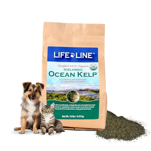Organic Ocean Kelp Powder – Natural Supplement for Dogs & Cats (10 lb)